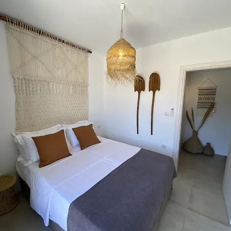 Дом отдыха Ypsilon Naxos - Luxury House With Amazing Sea View & Private Pool Айя-Анна